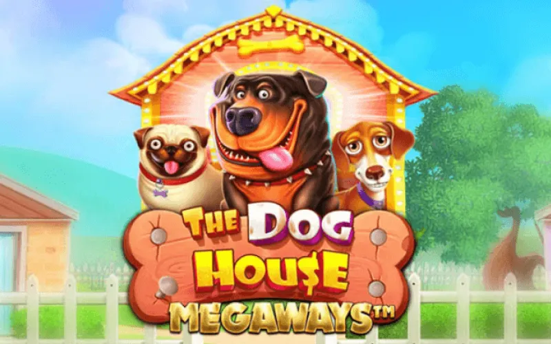 Jugá The Dog House Megaways en JVSpin y buscá grandes premios.