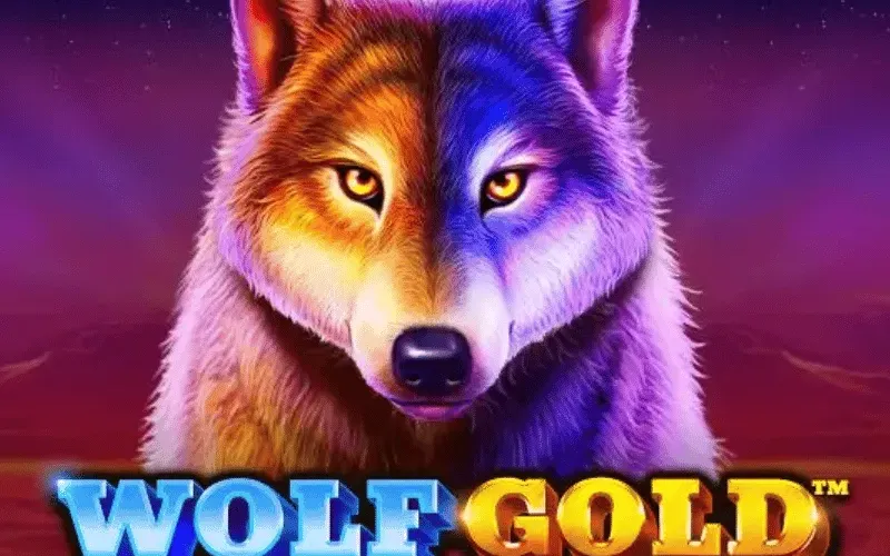 Elegí Wolf Gold en JVSpin y sentí la emoción nocturna.